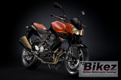2009 Kawasaki Z1000 photo